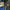 The North Face Gorpcore Track jacket Pria black blue photo 2