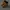 Timberland Yellow Icon Boot photo 4