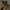 Timberland Yellow Icon Boot photo 2