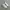 nike jordan photo 3