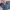 CELANA JEANS DENIM BLUE WASHED WITH ICONIC POCKET photo 1