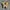 Converse 70s Low Sunflower photo 4
