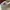 Topi Vintage Rope Hat PSI Fremont photo 4