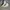 Converse 70s Hi White photo 2