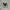 Converse All Star Hi Leather Fleece photo 3