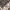 Streetwear Gorpcore Tracksuit Pria gray photo 5