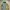 Stone Island Casual Sportswear Windbreaker Pria Yellow