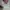 Vans authentic photo 6