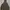 INCHIC CLOTHING HALFZIP CAGOULE HOODIE photo 5