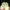 Puma Speedcat Matcha Green size 37 photo 5