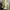Marat Yellow Printed Girl Art Fitted Turtleneck Top (XS) photo 3
