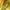 Marat Yellow Printed Girl Art Fitted Turtleneck Top (XS) photo 7