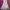 Cottagecore Fairy Summer dress Wanita purple yellow photo 4