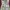 Cottagecore Fairy Summer dress Wanita purple yellow photo 5