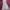 Cottagecore Fairy Summer dress Wanita purple yellow photo 2