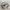 Salomon Gorpcore Sneakers Pria multicolor khaki photo 1