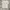 APC white gig tshirt photo 6