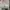 Converse Chuck 70 High 'Create Future - Parchment photo 2