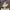 Converse Chuck 70 High 'Create Future - Parchment photo 1