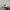 Converse Chuck 70 High 'Create Future - Parchment photo 3