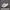 Vans Old Skool Japan Market photo 1