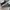 ZARA Emo Casual Sneakers Pria green black photo 2