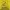 Y2K Casual T-shirt Pria yellow photo 2