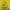 Y2K Casual T-shirt Pria Yellow