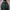 UNIQLO PUFFER JACKET  photo 2