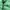 The North Face Sportswear Puffer jacket Pria green photo 2