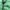 The North Face Sportswear Puffer Jacket Pria Green