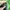 The North Face Sportswear Puffer jacket Pria green photo 5