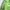 The North Face Sportswear Puffer jacket Pria green photo 3