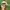 Vintage Hat Pria blue tan photo 4