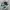 New Balance Streetwear Sportswear Sneakers Pria green photo 1