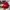 Topi Supreme Grinch Box Logo New Era Red