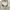 The North Face Sportswear Puffer jacket Pria silver white photo 2