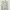 The North Face Sportswear Puffer jacket Pria silver white photo 3