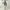 Japanese Mori Kei Nordic Knit Tunic Brown Oversize Basic Ton photo 2