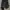 Reebok Women training dri fit-leggings pants photo 2