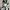 Nike Women training dri fit-leggings pants photo 2