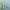 Rok Tosca Payet – Anggun & Mewah  photo 1