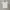 Adidas Jersey center logo photo 1