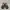 Nike Air Winflo 10 Flat Pewter photo 2
