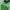 Columbia Gorpcore Windbreaker Pria green photo 2