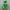 Columbia Gorpcore Windbreaker Pria Green