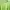 Lime green cardigan photo 4