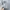 Casual Sweater Pria black gray photo 5