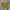 Streetwear Sweater Pria gray yellow photo 2