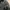 Jaket Levis Bulu Angsa Jaket Bulang Down Jacket photo 6